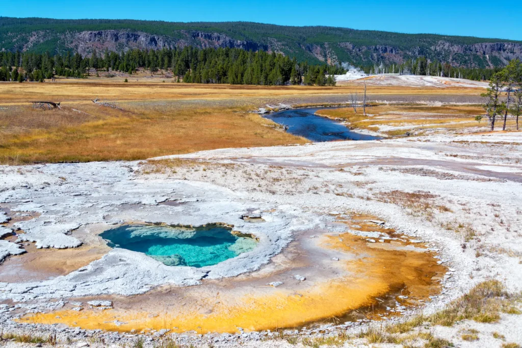 Private jet charter from yellowstone with Travel King International